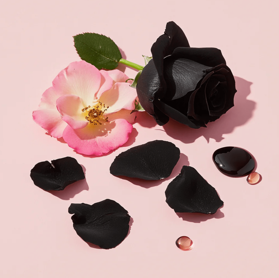 Floral - Desert Lily Bloom